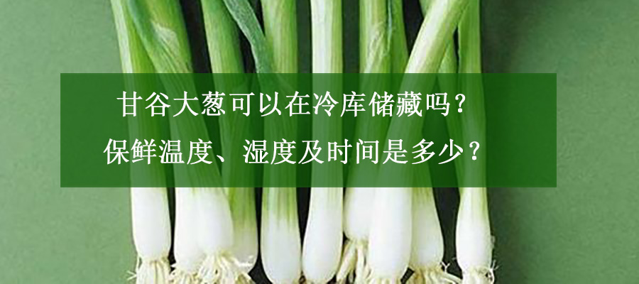 甘谷大蔥可以在冷庫儲(chǔ)藏嗎？保鮮溫度、濕度及時(shí)間是多少？