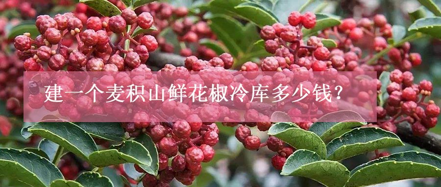 建一個麥積山鮮花椒冷庫多少錢？