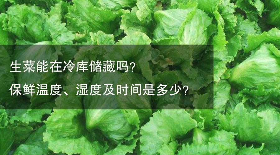 生菜能在冷庫儲(chǔ)藏嗎？保鮮溫度、濕度及時(shí)間是多少？