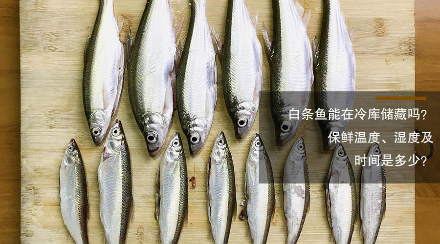 白條魚冷庫儲藏溫度、相對濕度及時間介紹