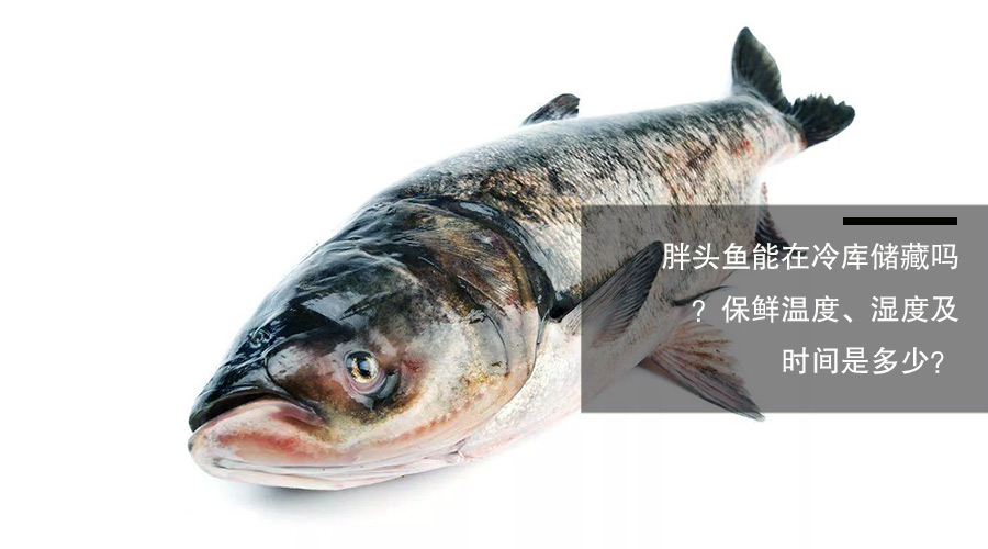 胖頭魚（鳙魚）冷庫儲藏溫度、相對濕度及貯藏時間介紹