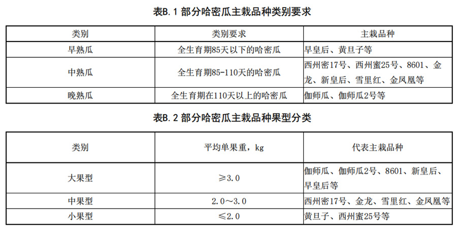 哈密瓜早、中、熟瓜和大中型瓜的分類要求