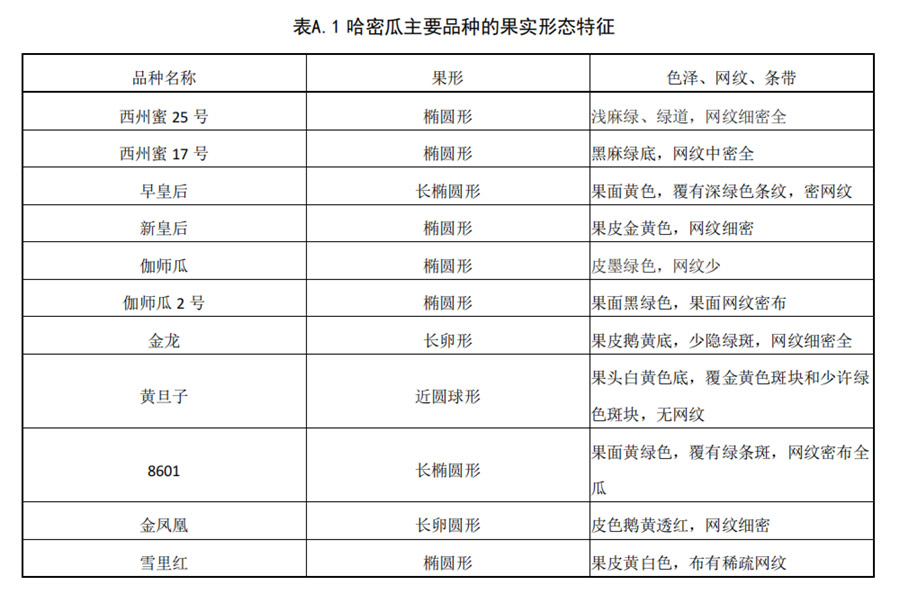 哈密瓜主要品種果實(shí)形態(tài)特征