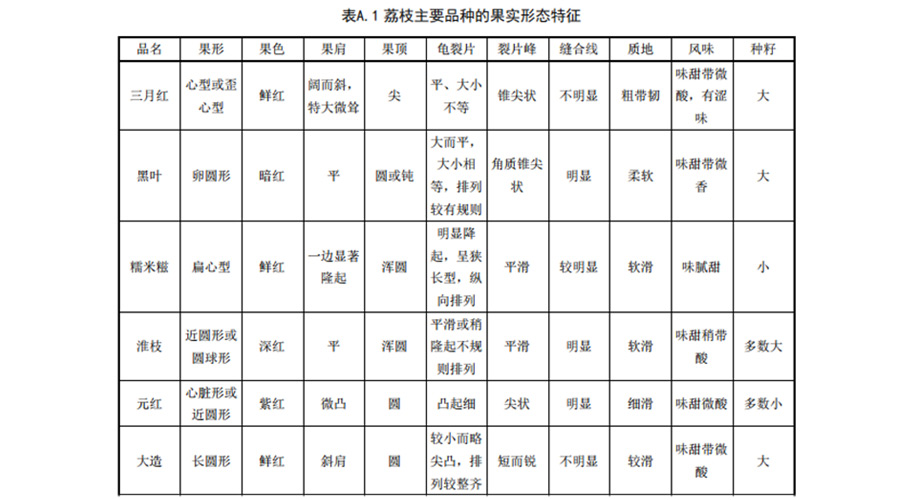 荔枝入冷庫采收前果實標準1