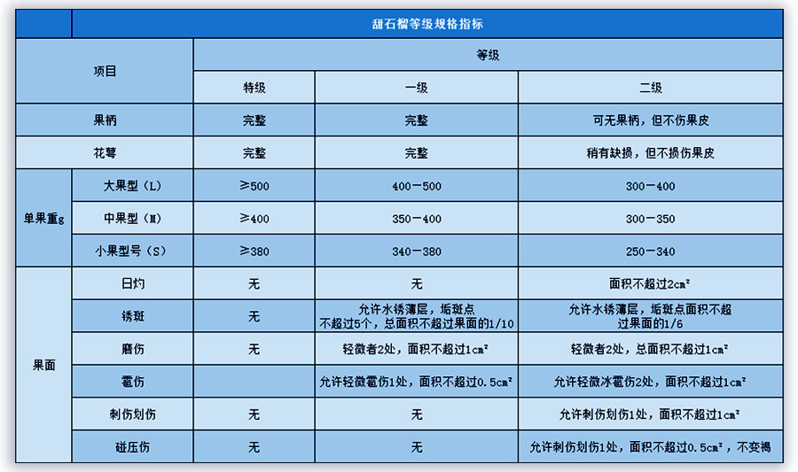 石榴入冷庫庫前的分級(jí)工作