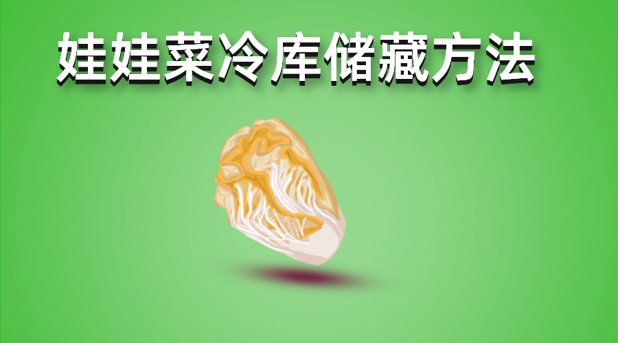 娃娃菜冷庫儲(chǔ)藏方法介紹