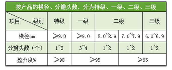 蘭州百合入冷庫(kù)前分級(jí)質(zhì)量標(biāo)準(zhǔn)參考