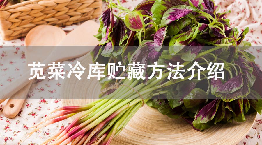 莧菜冷庫(kù)貯藏方法