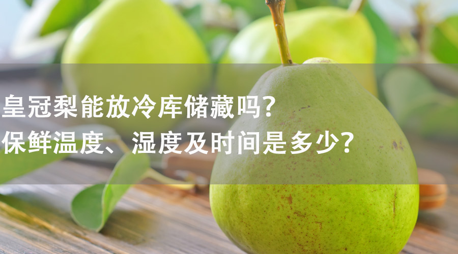 皇冠梨能在冷庫儲(chǔ)藏嗎？保鮮溫度、濕度及時(shí)間是多少？