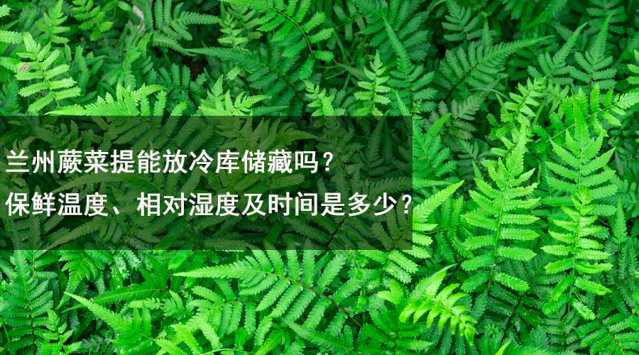 蘭州蕨菜提能放冷庫儲(chǔ)藏嗎？保鮮溫度、相對(duì)濕度及時(shí)間是多少？.jpg