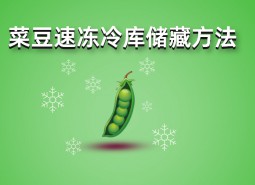 四季豆（菜豆）速凍冷庫儲(chǔ)藏方法詳解，保鮮時(shí)間1年不變質(zhì)！