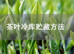 茶葉貯藏方法是什么？茶葉冷庫儲存介紹！