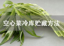 空心菜冷庫貯藏方法詳解！這樣貯藏可保鮮1個月！