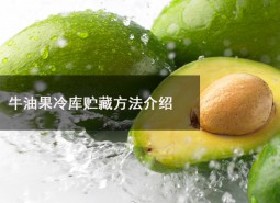 牛油果冷庫貯藏溫度為多少？可以在冷庫貯藏多長時(shí)間？-萬能制冷